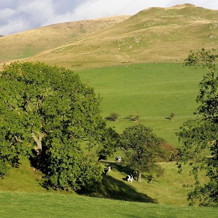Gateside Farmhouse Sedbergh Esterno foto